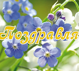 Весенние цветы