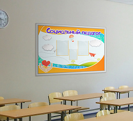 Социальный педагог